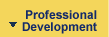 Professional Development